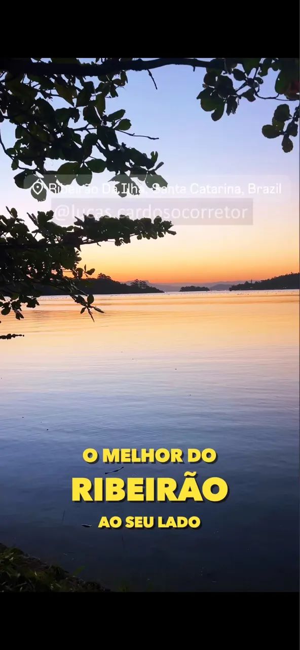 Terreno plano, murado, aterrado, pronto para construir, Ribeirão  - Foto 5