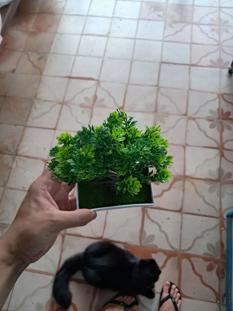 Bonsai artificial  - Foto 3