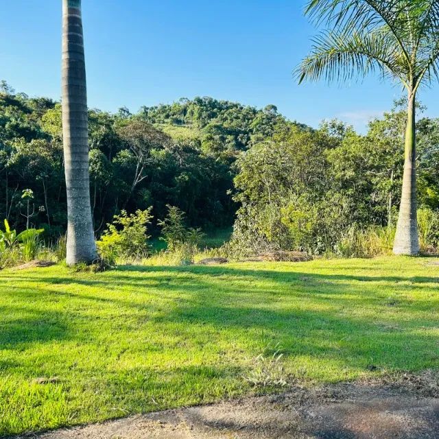 Vendo Granja com 5.000m² -   - Foto 2