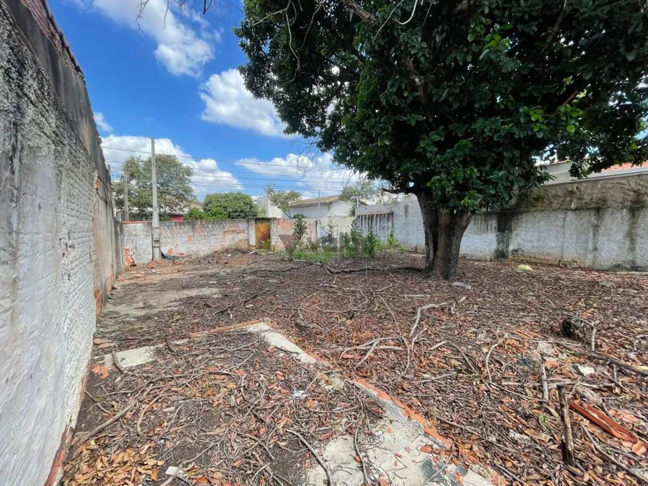 Terreno para alugar em Campinas, Jardim Bela Vista, com 300 m² - Foto 4