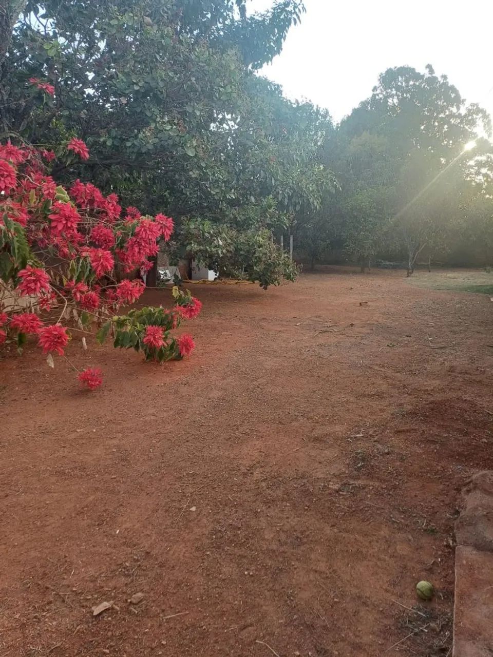 Lote à venda no Sarandi - Ótima oportunidade! - Foto 2