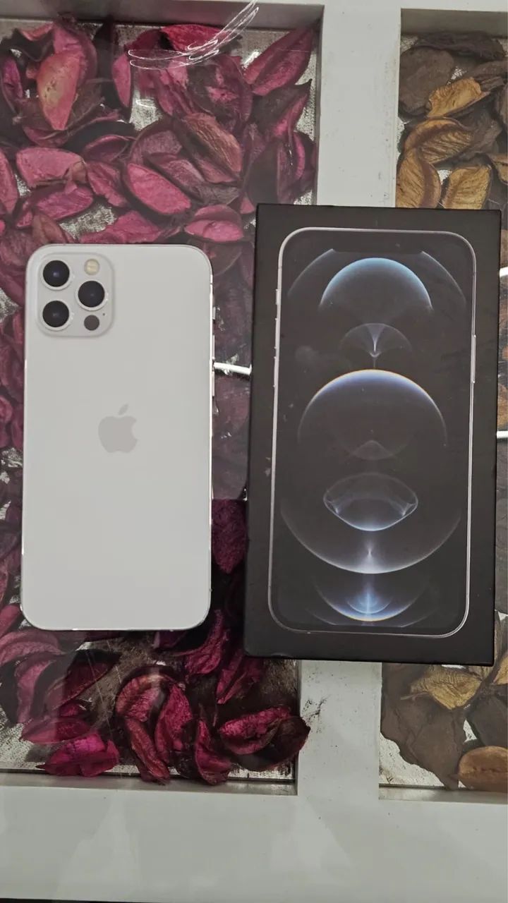 iPhone 12 Pro - 256GB - Celulares e Smartphones - Centro, Niterói