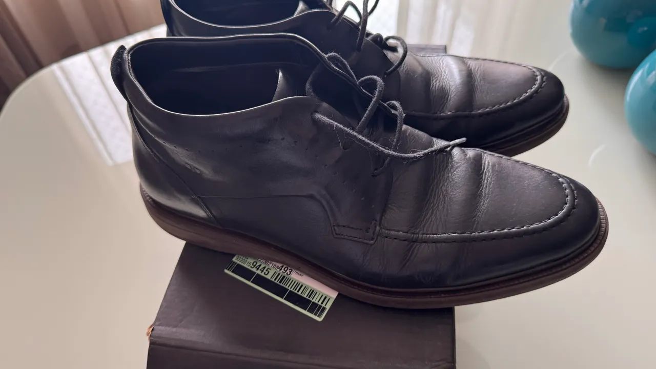 Bota democrata  - Foto 2