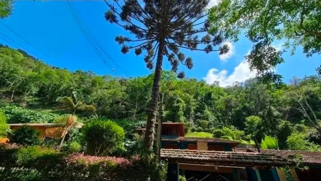 Sítio casa com anexo, km57, Ribeirão  - Foto 2