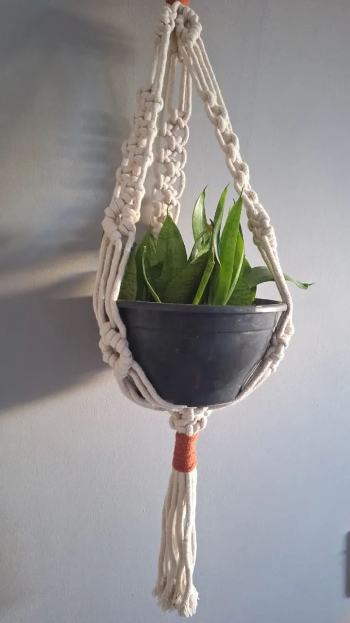 Suporte de planta - Foto 3