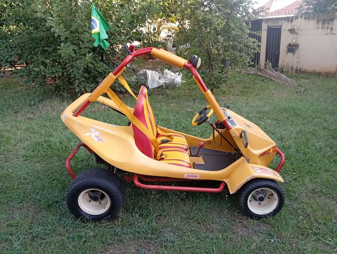 Mini Buggy Fapinha  - Foto 5