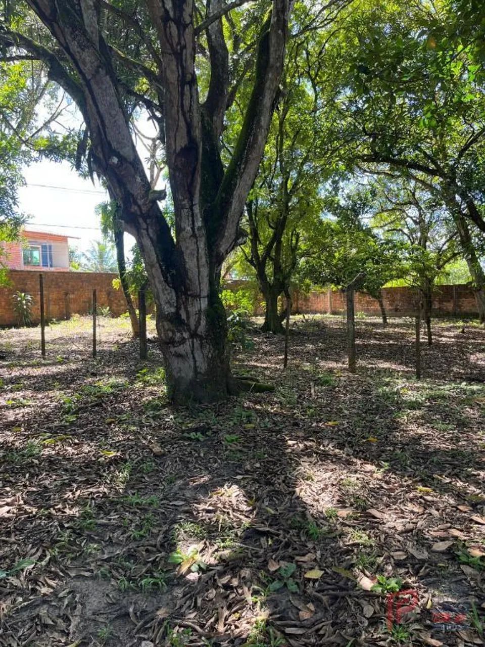 Área à venda, 40.000 m² por R$ 8.000.000,00 - Maiobinha - São Luís/MA - Foto 7