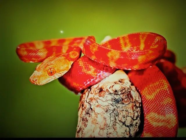 Smart TV 4K LG 50NANO75 - 50 Polegadas Nanocell - Foto 3