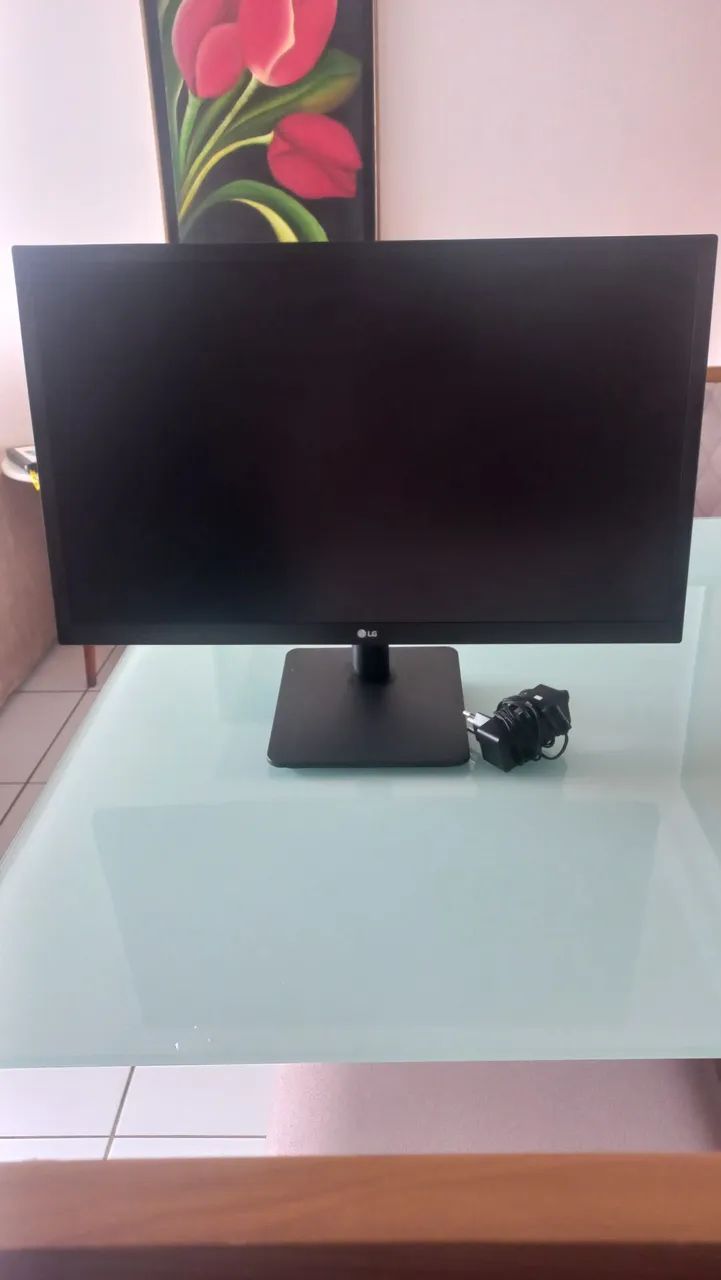 Monitor LG 23,8' modelo 24MK430H-B 