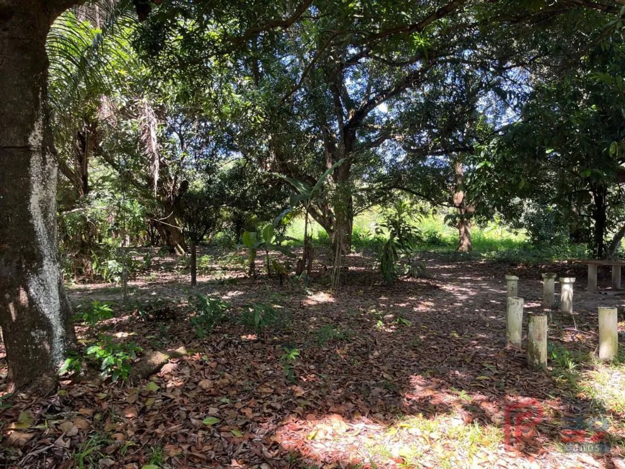 Área à venda, 40.000 m² por R$ 8.000.000,00 - Maiobinha - São Luís/MA - Foto 4