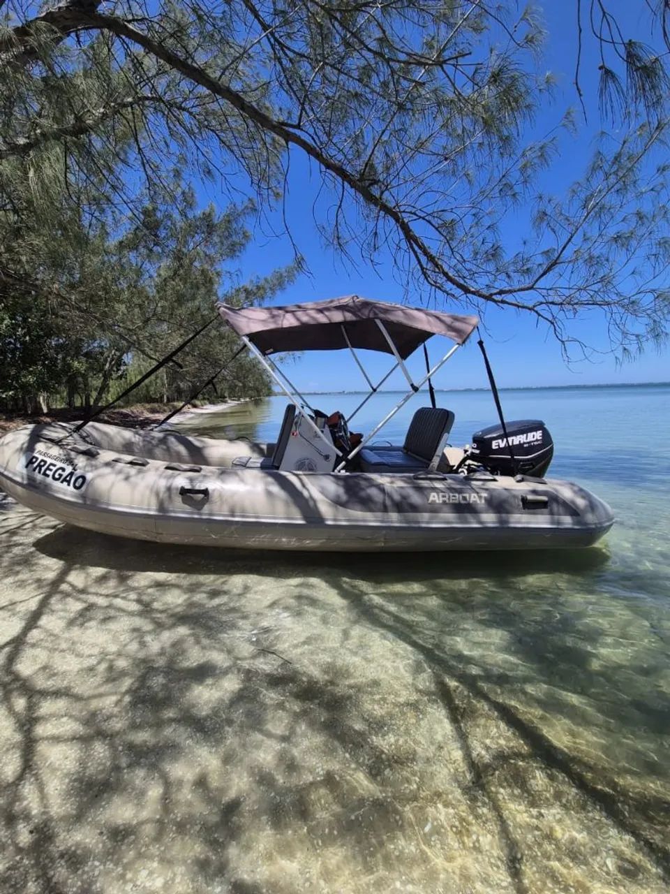 Bote 60 hp