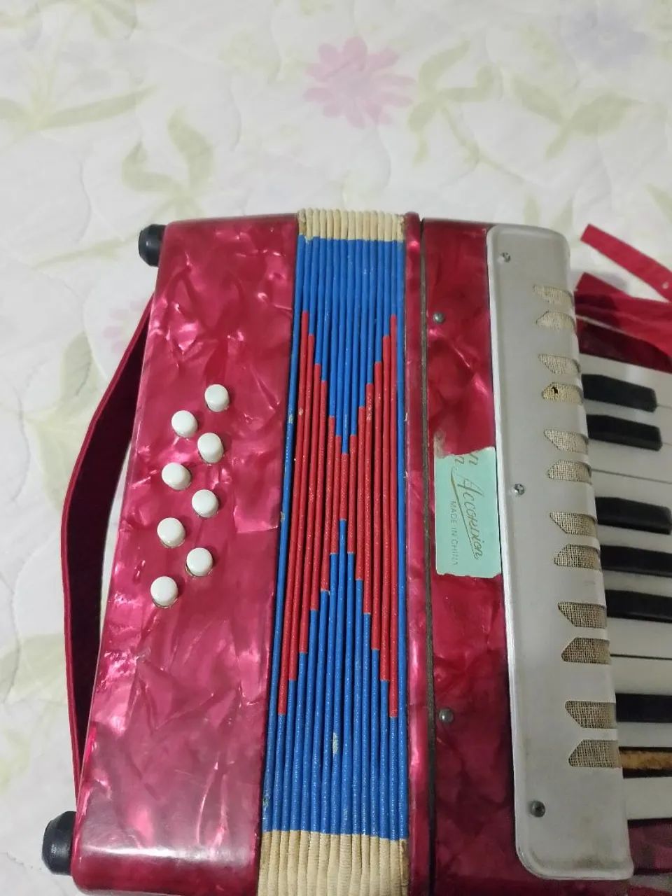 Acordeon infantil  - Foto 2