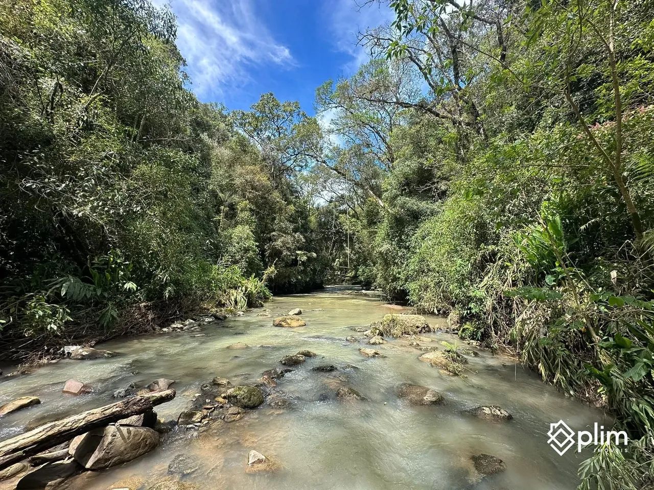 Sítio com RIO e Cachoeira em Alfredo Wagner  SC - Foto 4
