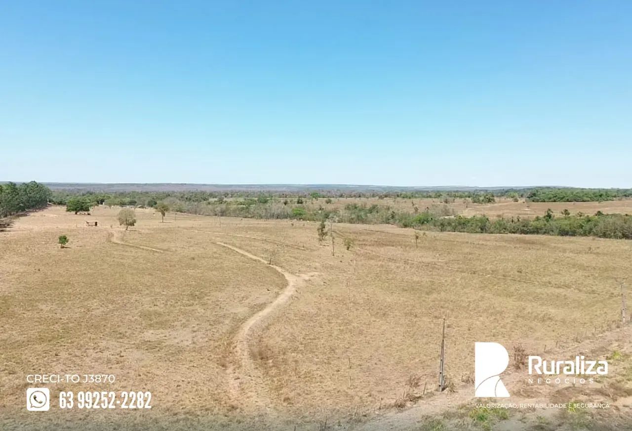 232 ALQUEIRES | 968 HA EM PASTAGENS | 80 DIVISÕES DE PASTO - Foto 4