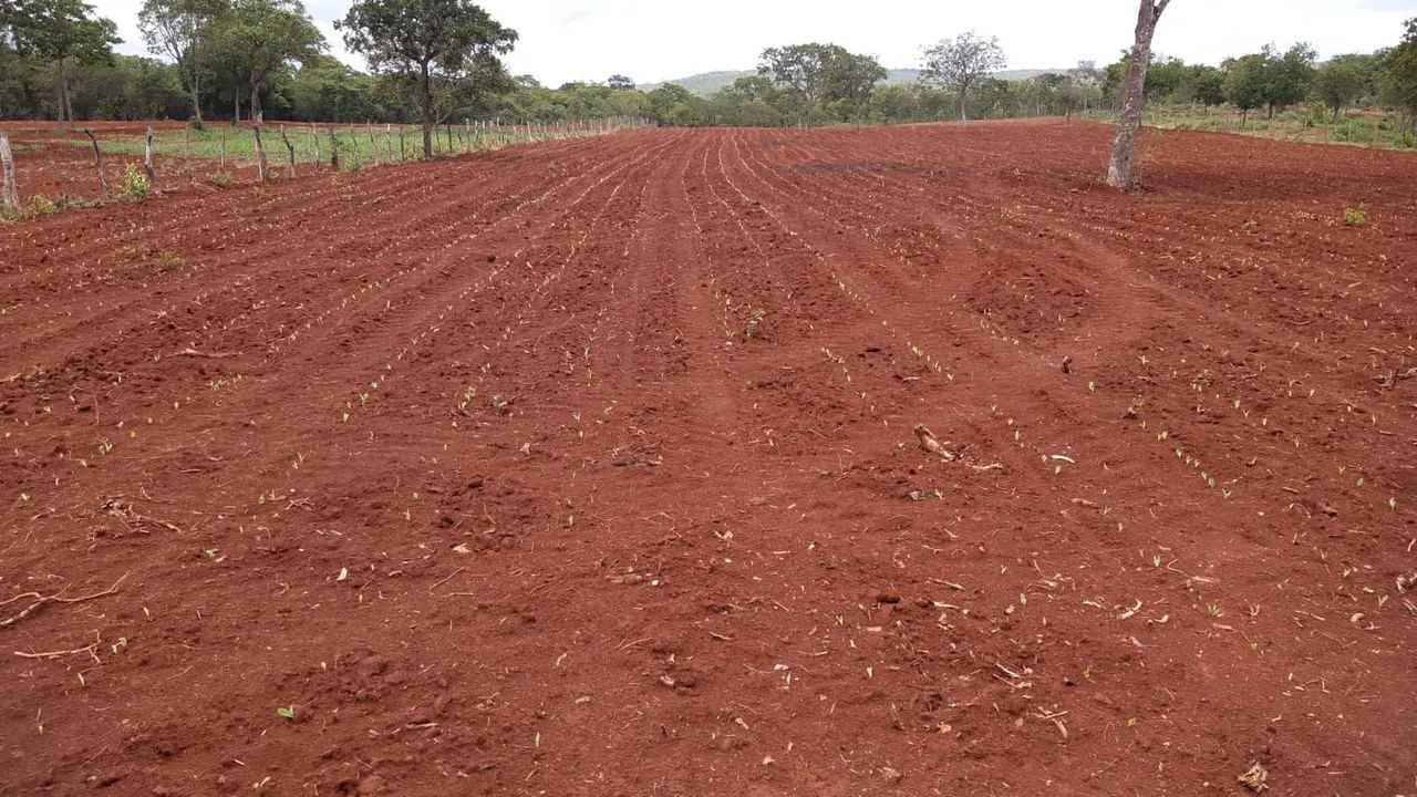 Fazenda DF Planaltina/Sobradinho  - Foto 2
