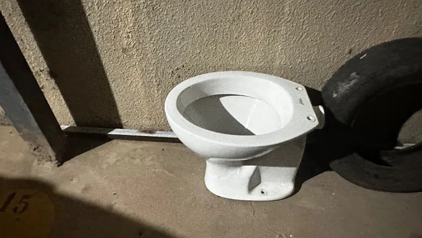 Toilet Bowl
