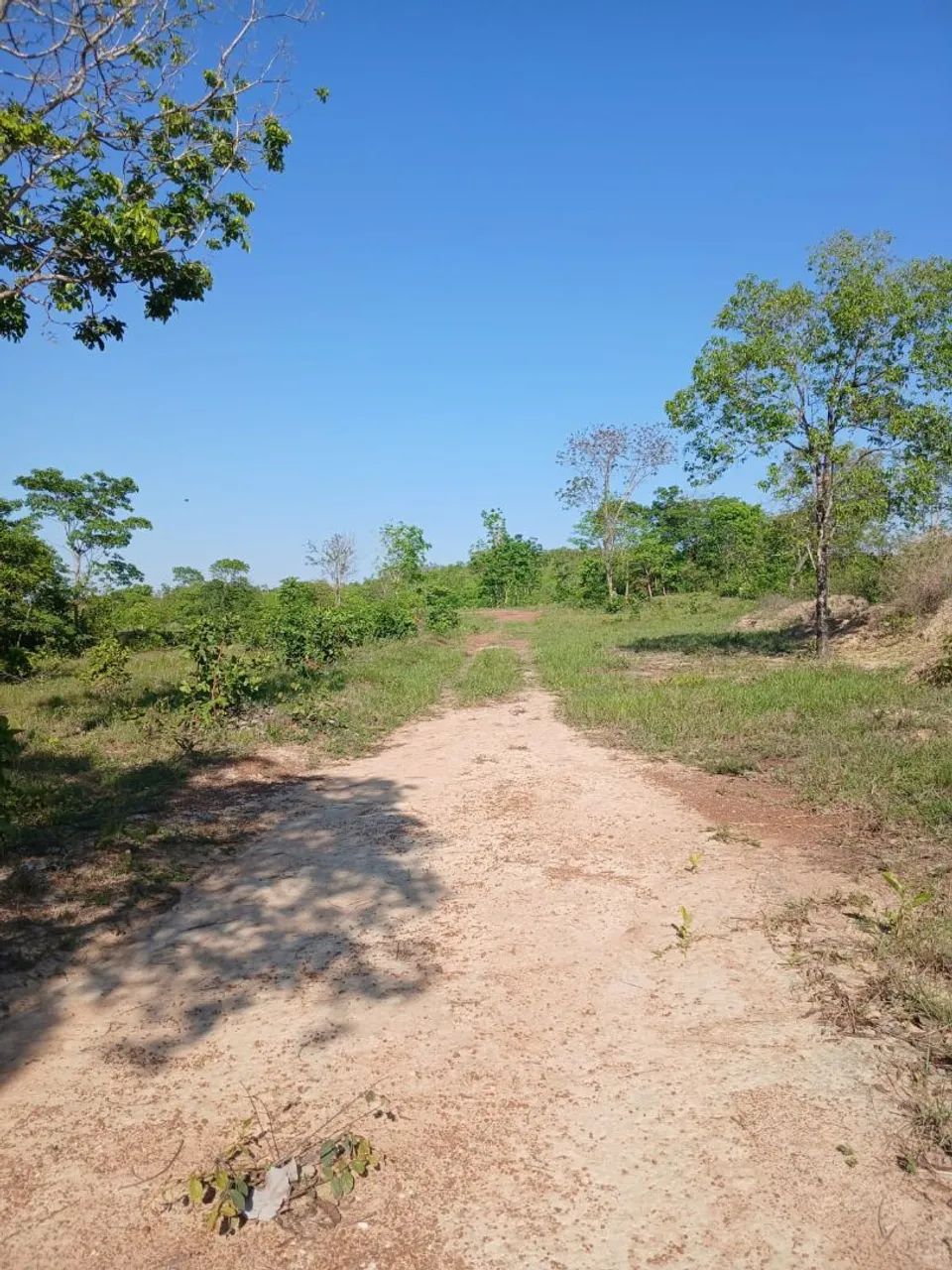 Vendo excelente  chácara no coxipó do ouro  - Foto 5