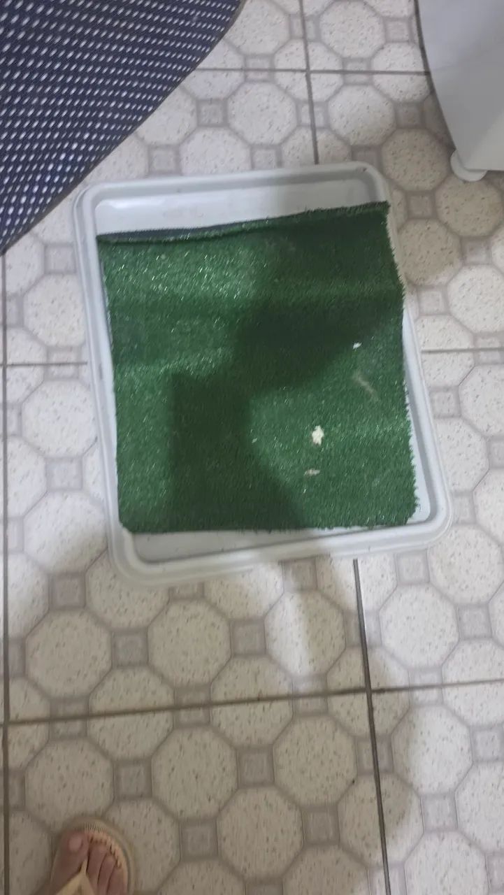 Banheiro sanitário canino com grama sintética