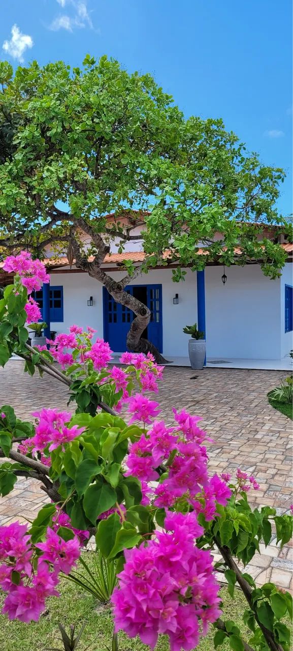 Vendo casa na praia. Oportunidade imperdível! - Foto 5