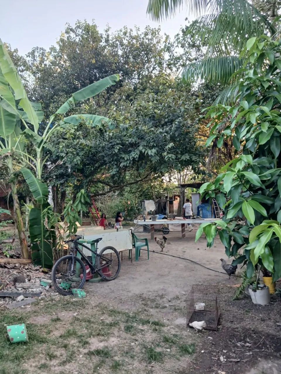 Chácara  casa a venda - Foto 4