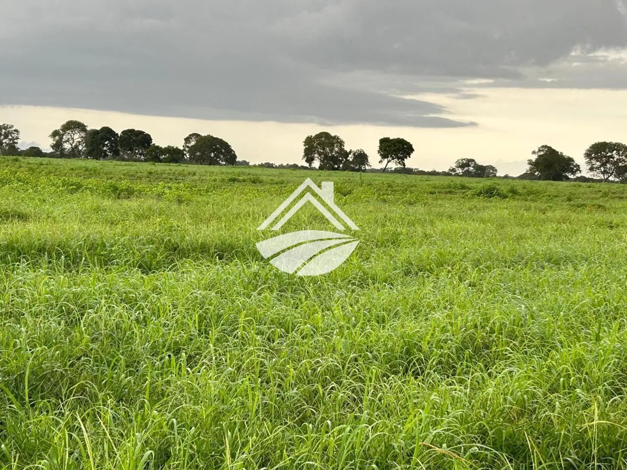 Fazenda para Venda em Araguaçu