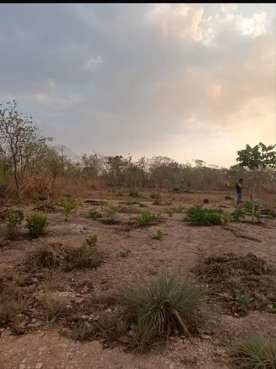 Vendo terreno Coxipo da ponte - estrada da ponte de ferro  - Foto 4