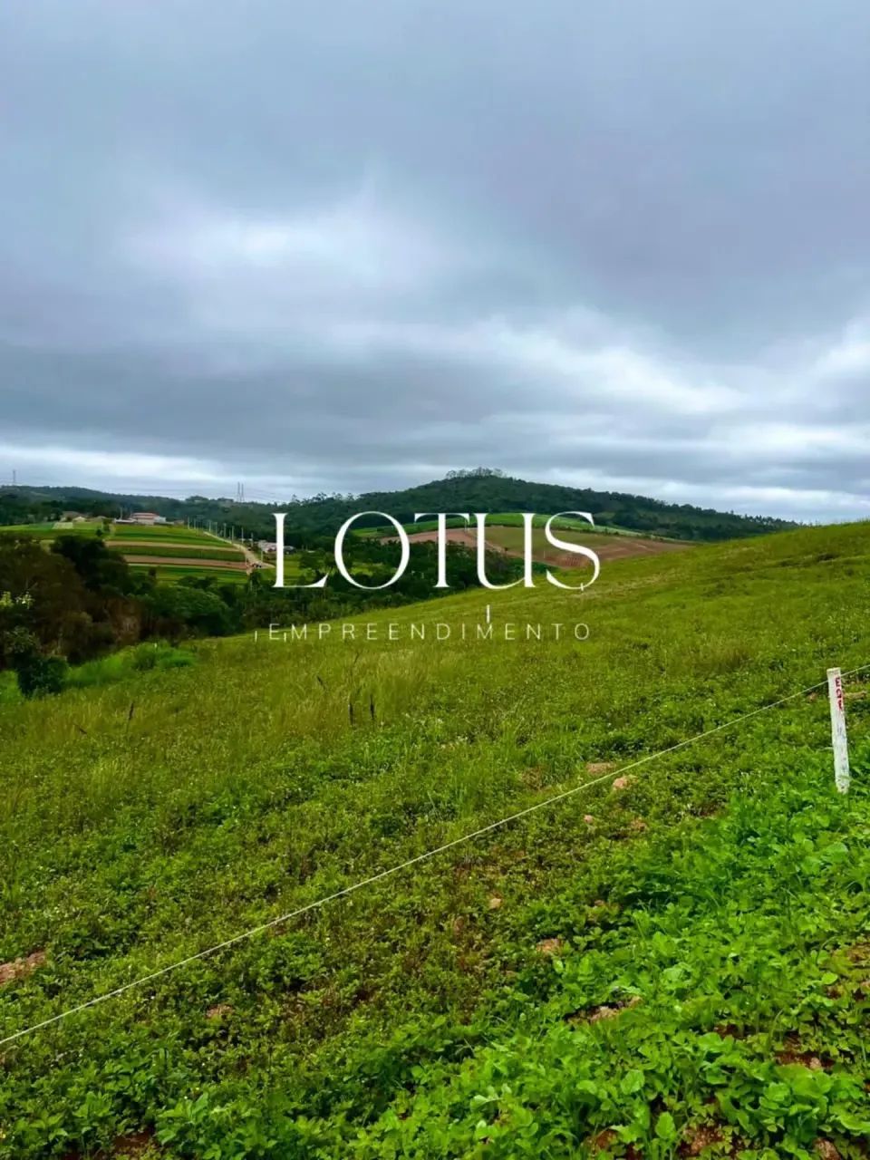 82C- LOTE 500M COTIA, ÓTIMO PARA FAZER PROJETOS