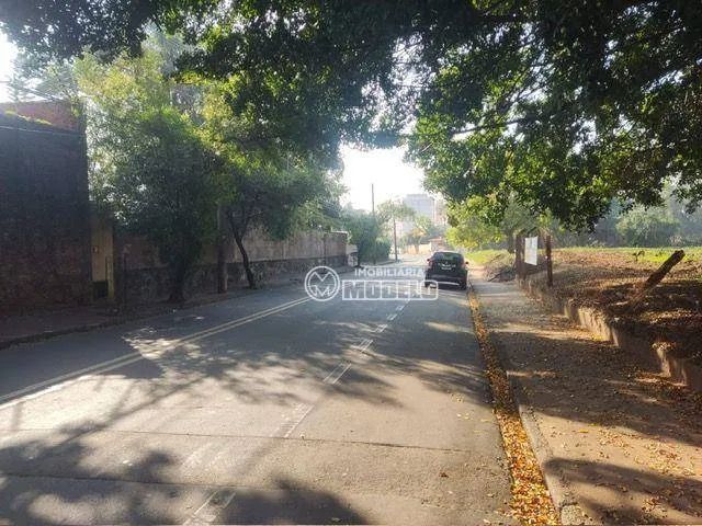 Terreno à venda, 3870 m² por R$ 1.550.000 - Dois Córregos - Piracicaba/SP - Foto 4