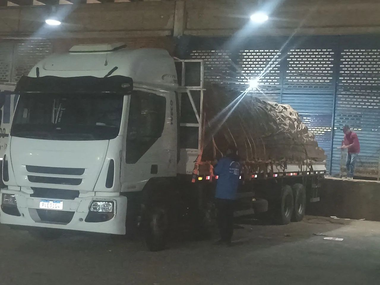 Iveco tector 
