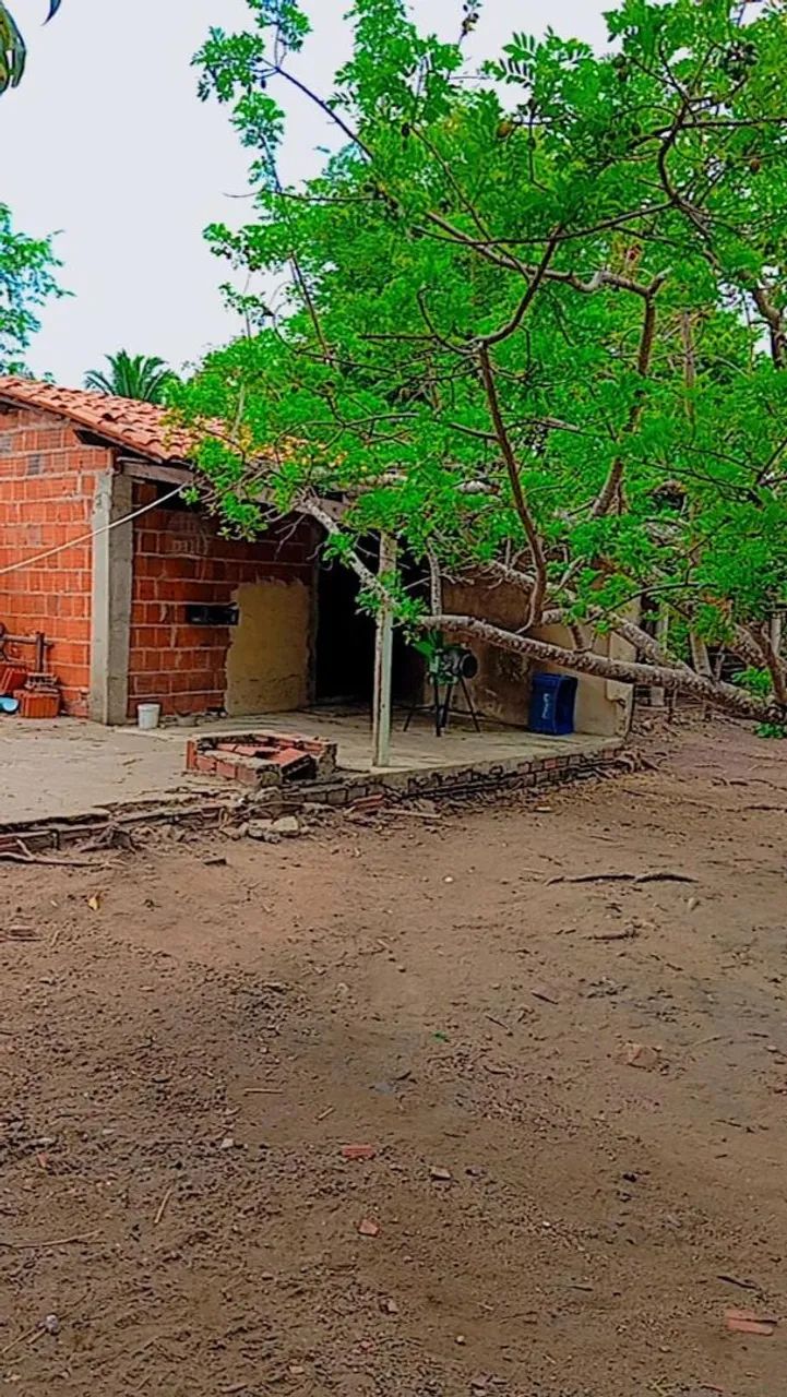 Sítio no masape entrada da forquilha Maranguape  - Foto 2