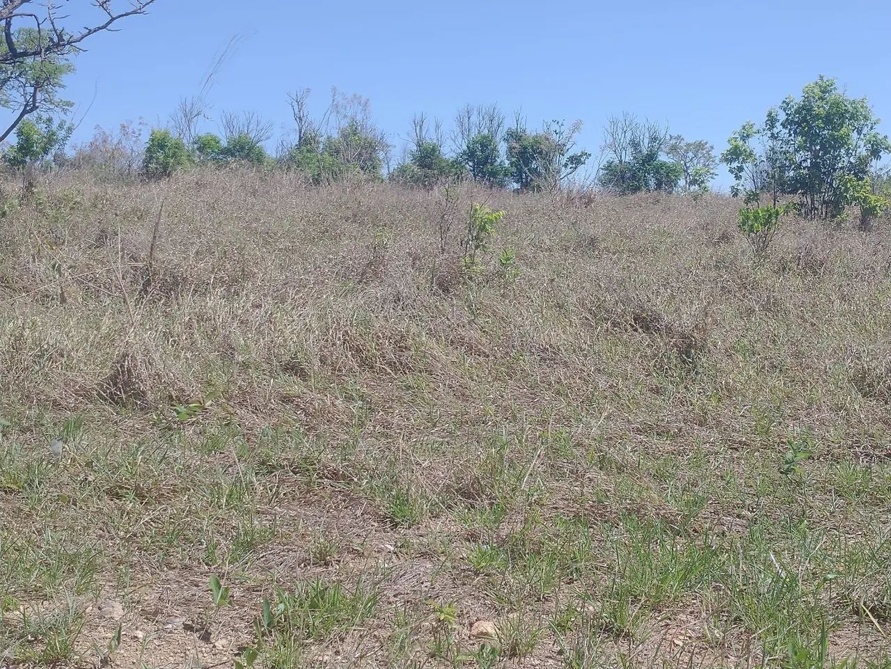 vendo terreno estudo proposta ,fica próximo a Ibiá  - Foto 3