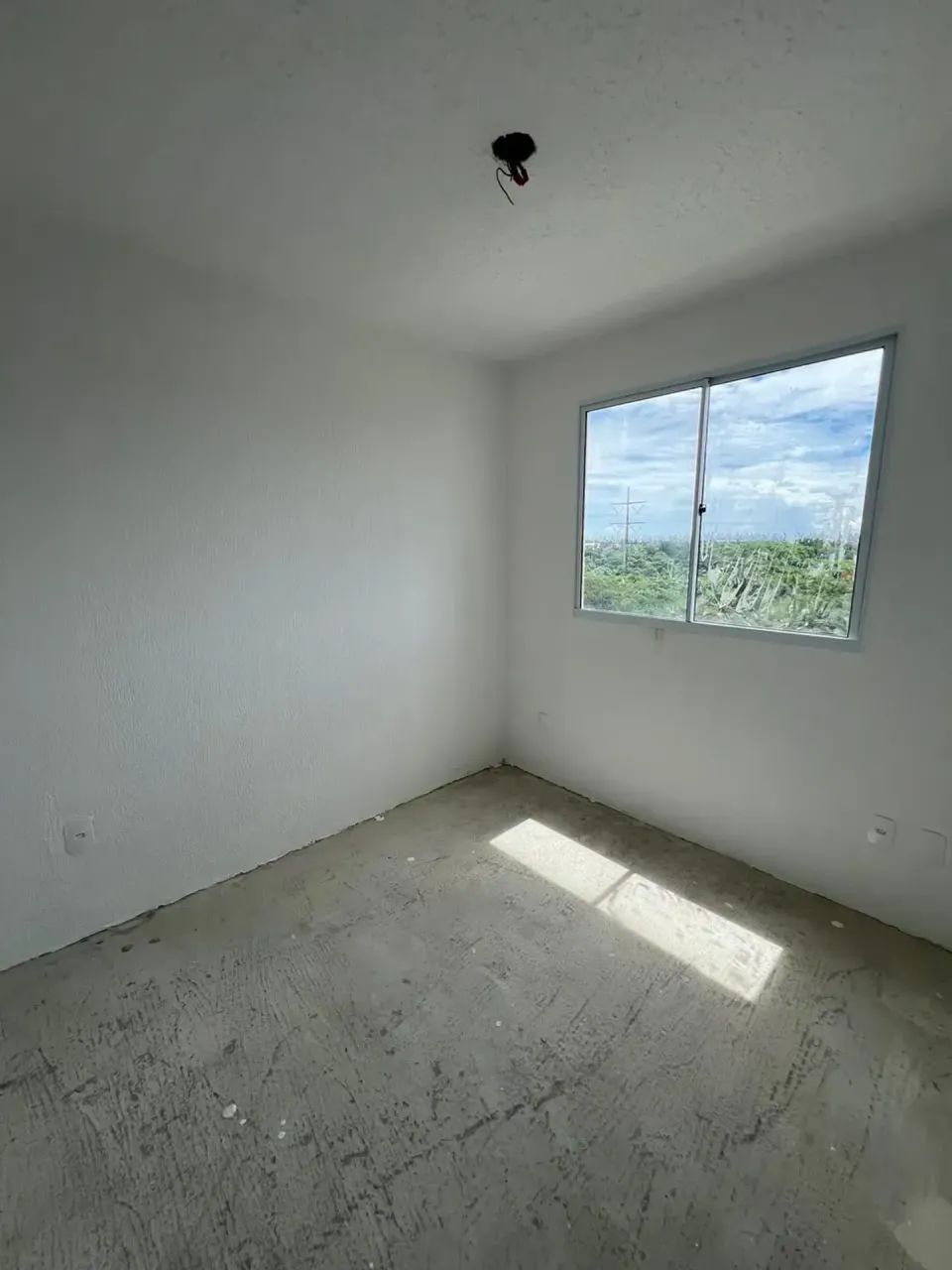 VIDA BOTÂNICA   Passaré/Cajazeiras - Foto 5