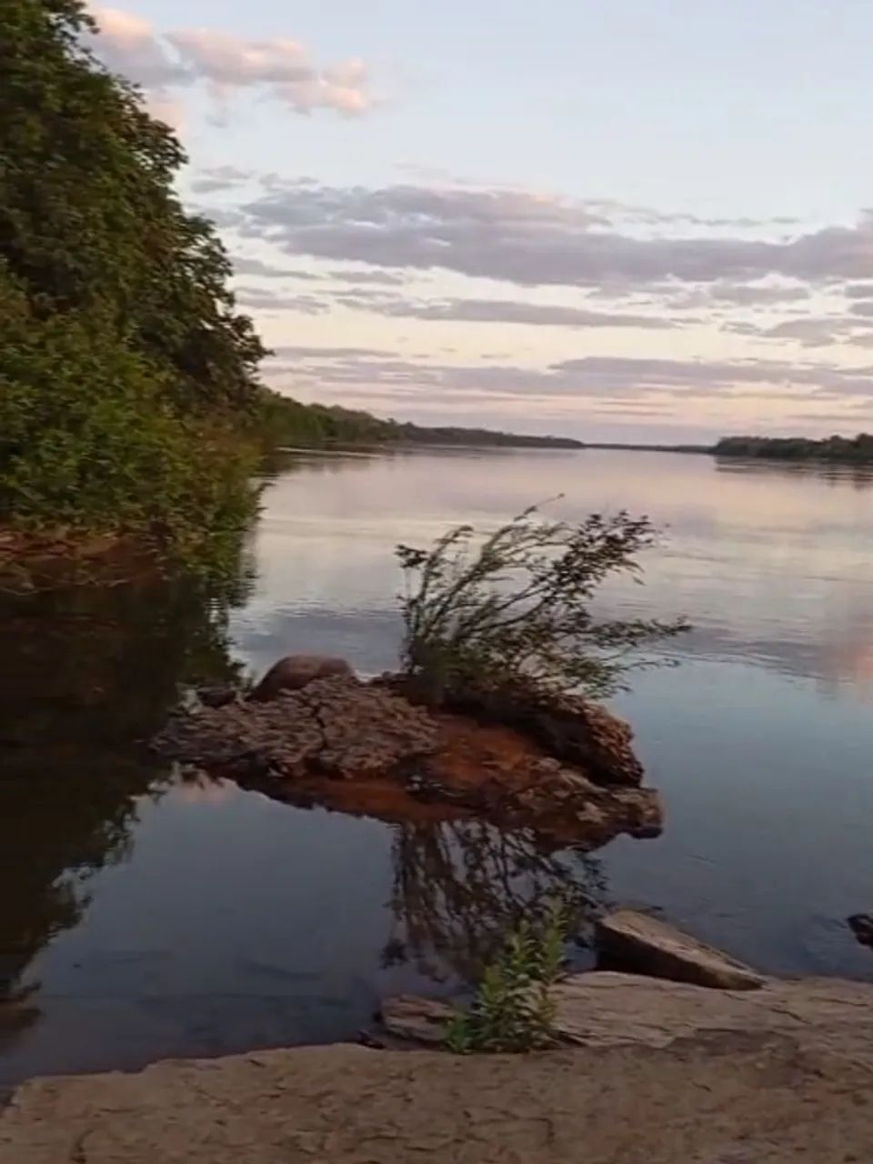 Vendo 2.5 alqueires na beira do rio Tocantins  - Foto 5
