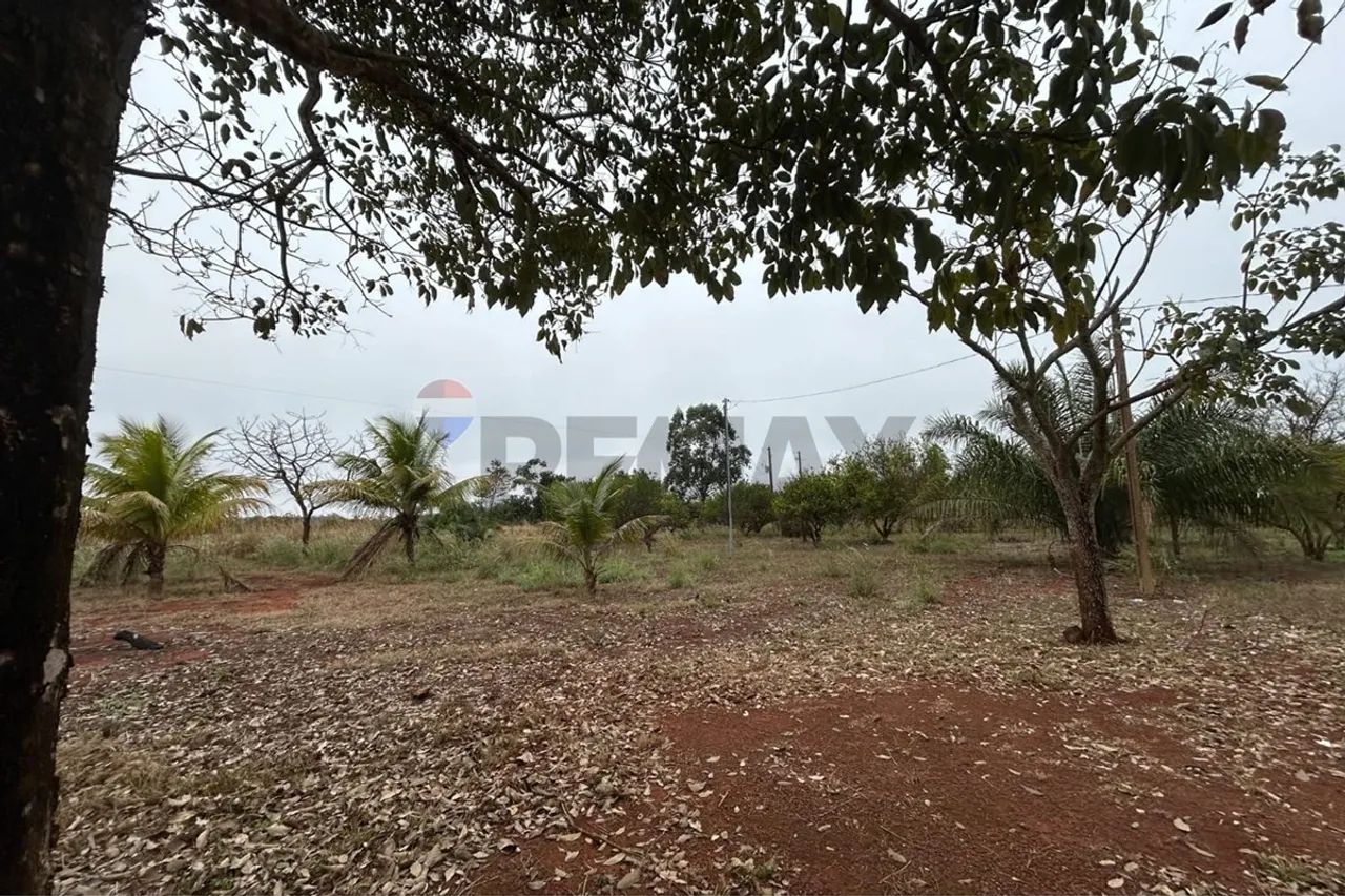 CHACARÁ A VENDA EM TANGARA DA SERRA - Foto 2