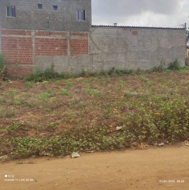 Venda de Terreno - Aliança /PE