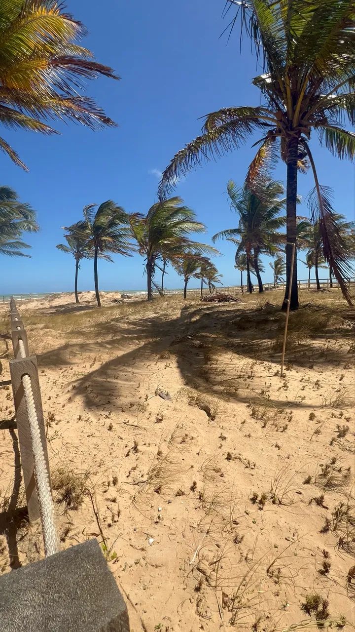 EXCELENTE TERRENO A BEIRA MAR  - Foto 3