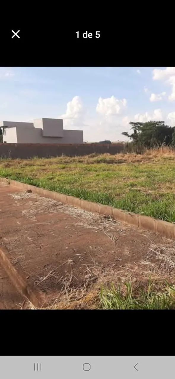 Foto - São José do Rio Preto - Parque Residencial Romano Calil
