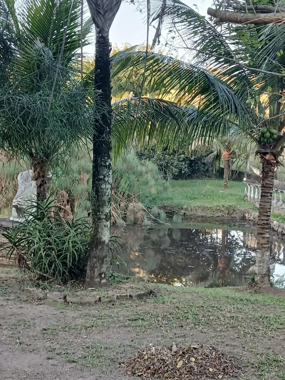 Papucaia- Região Nobre- Sitio Montado- Ideal Lazer/ Moradia!! - Foto 10