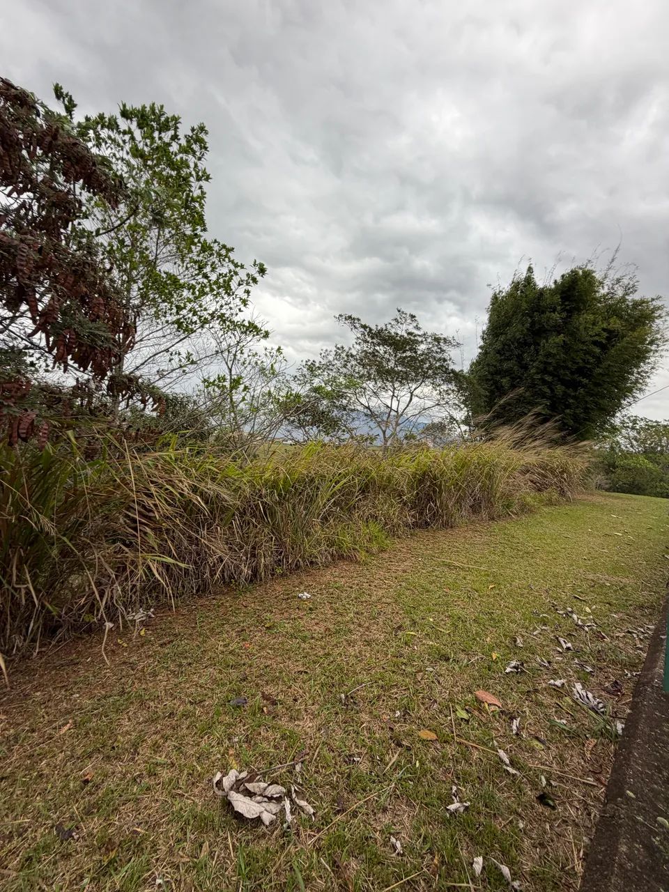 Terreno com localização prime  - Foto 5