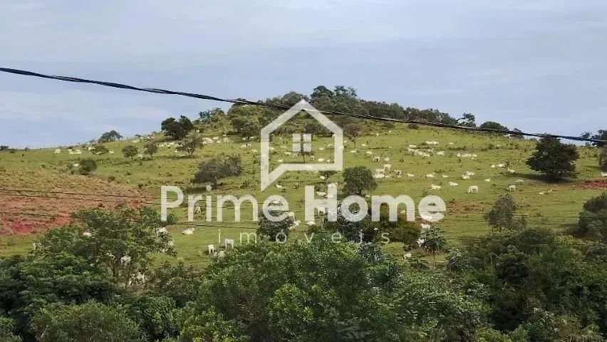 terreno - Loteamento Chácaras Gargantilhas - Campinas - Foto 7