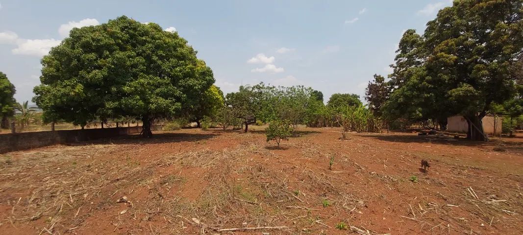 Chácara a 8 km de Brazlândia - Com Escritura 10.000m² - Foto 7