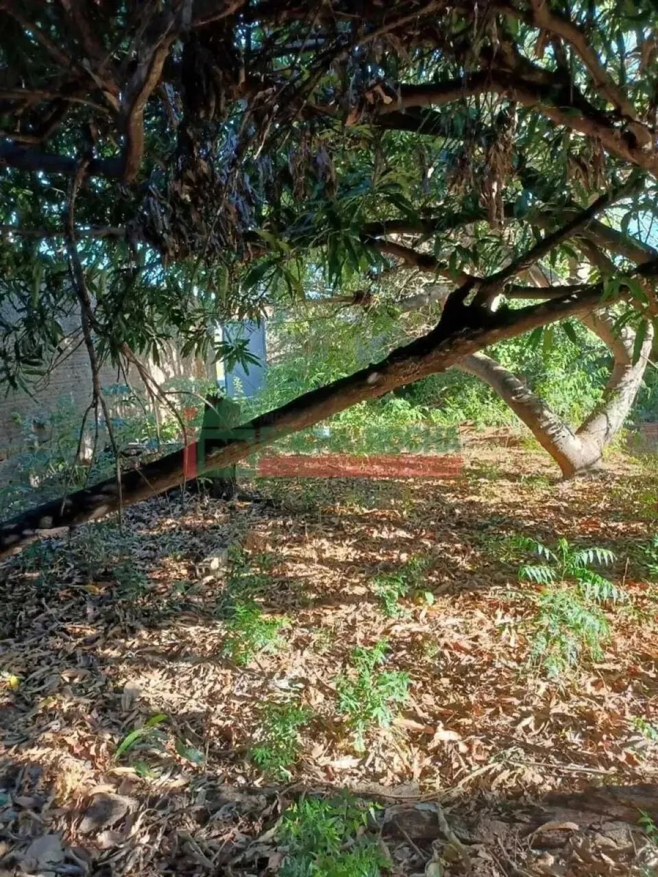 Terreno para alugar com 151,91 metros quadrados no SANTA ISABEL - Teresina - Piauí - Foto 5