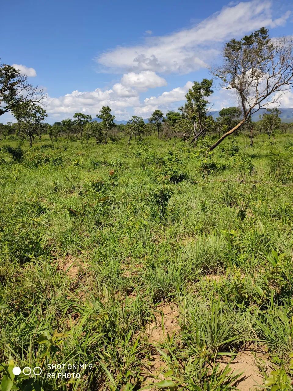 Sítio de 29,8ha só R$150 mil - Foto 2