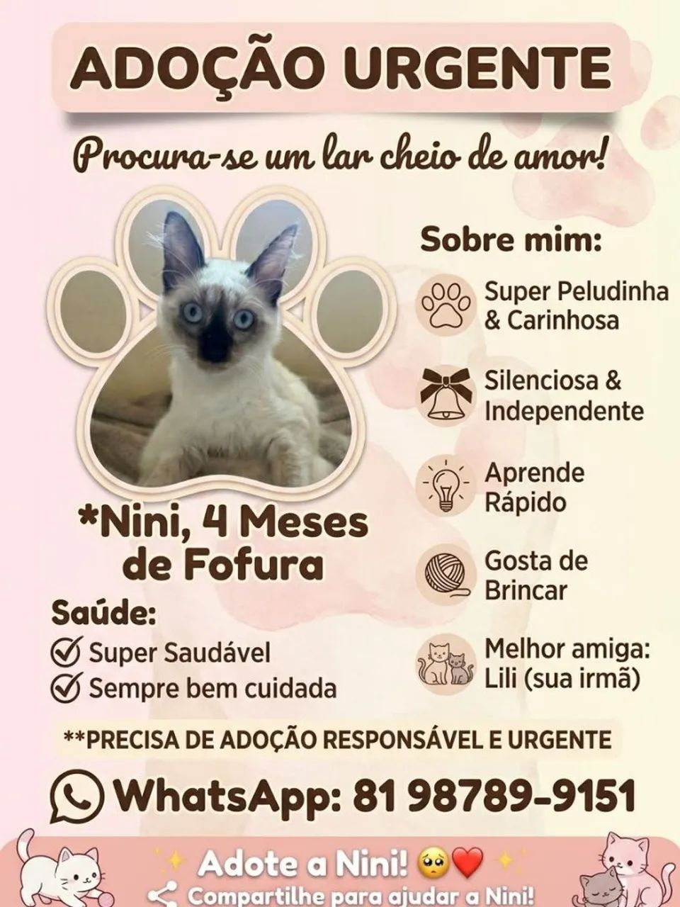 ADOÇÃO RESPONSÁVEL - Foto 4