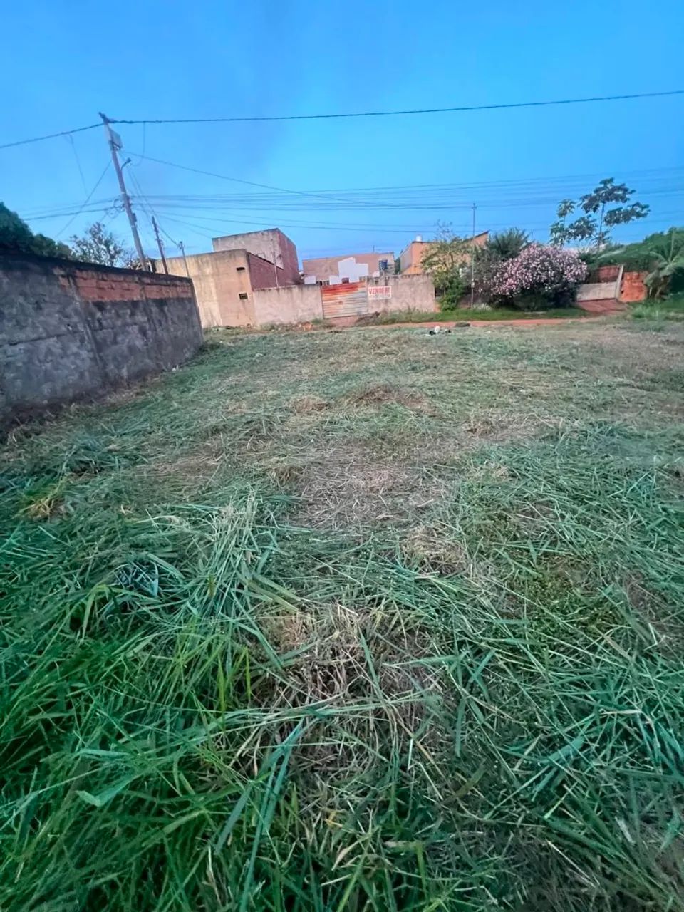Terreno de 12×30, 360²  - Foto 4