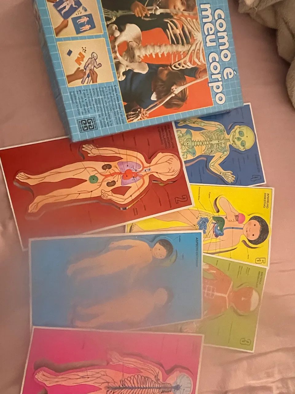  Como é o meu corpo? jogo educativo dos anos 80  - Foto 2