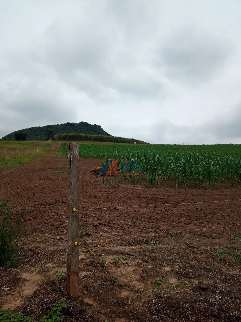 Sitio - Tamarana - Foto 2