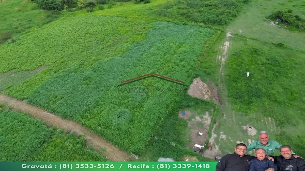 HARAS COMPLETO À VENDA EM POMBOS  PE - Foto 5
