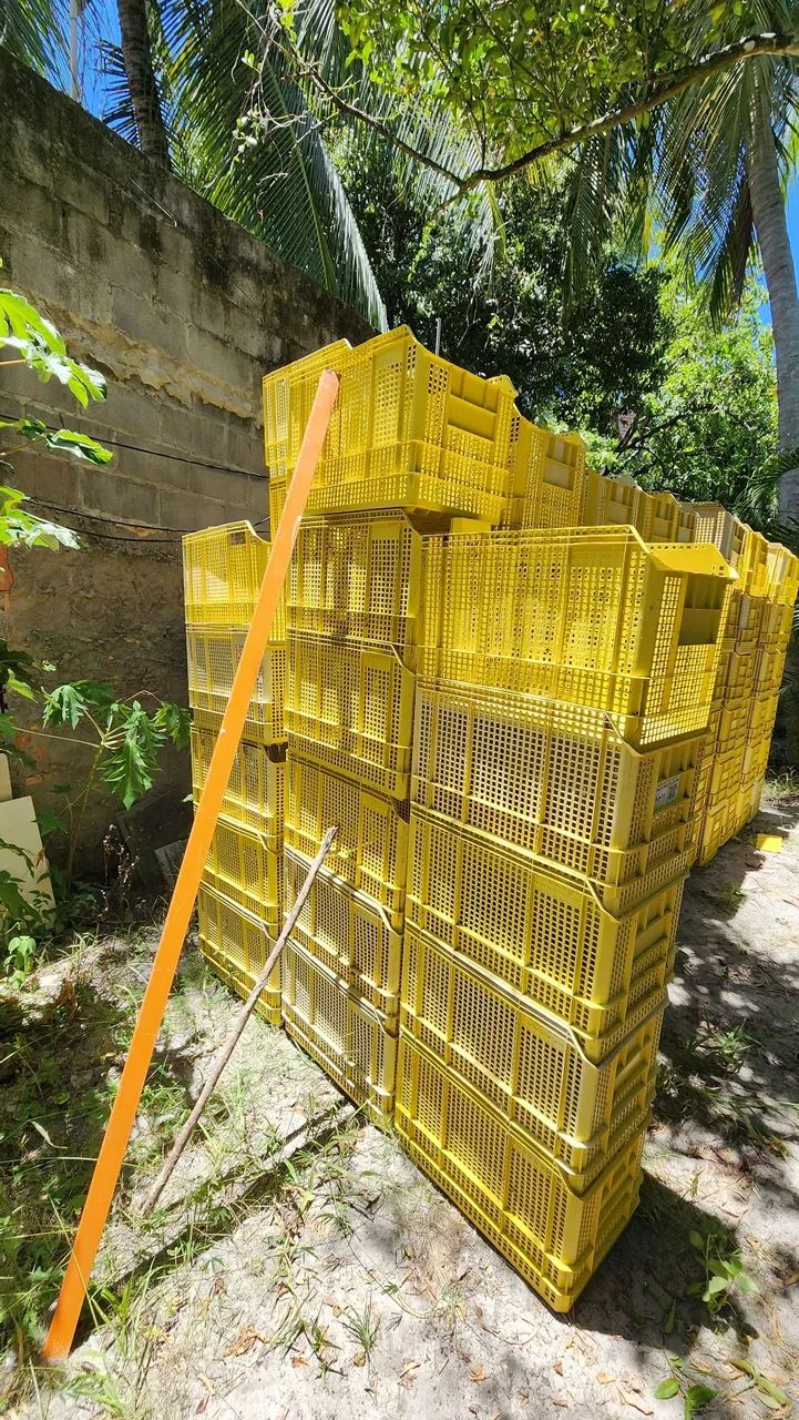 Ecoboxes linha BIN - Foto 5