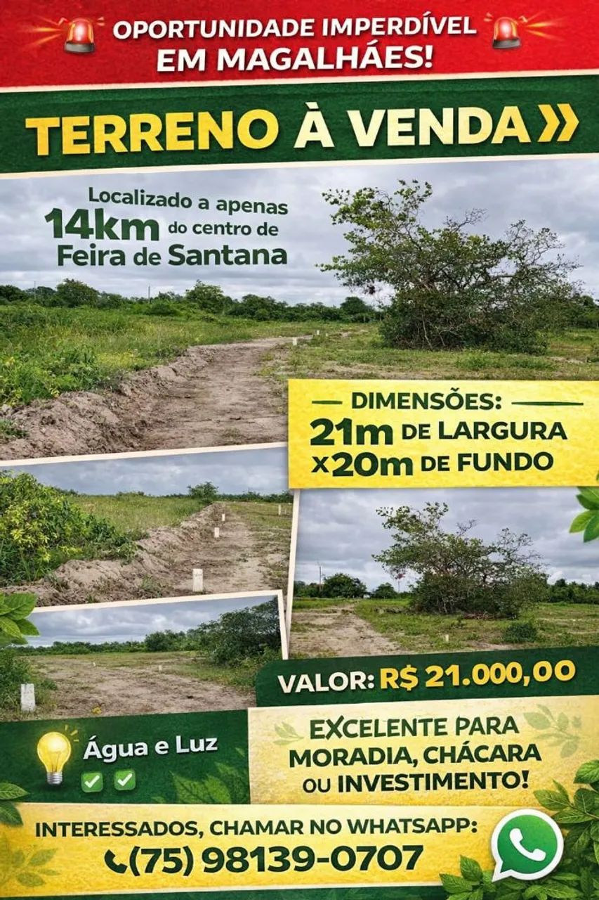 Foto - Feira de Santana - Baraúna